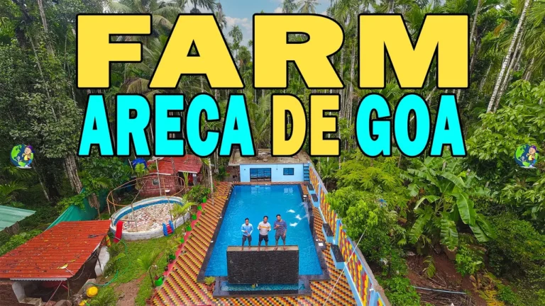 Farm Areca de Goa